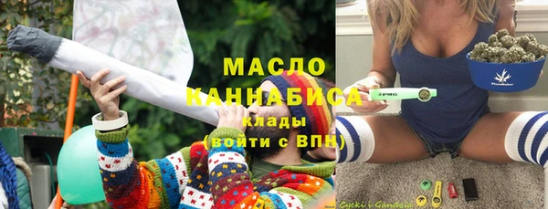 сатива Кулебаки