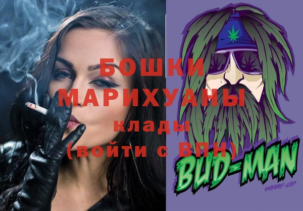 Альфа ПВП Лагань