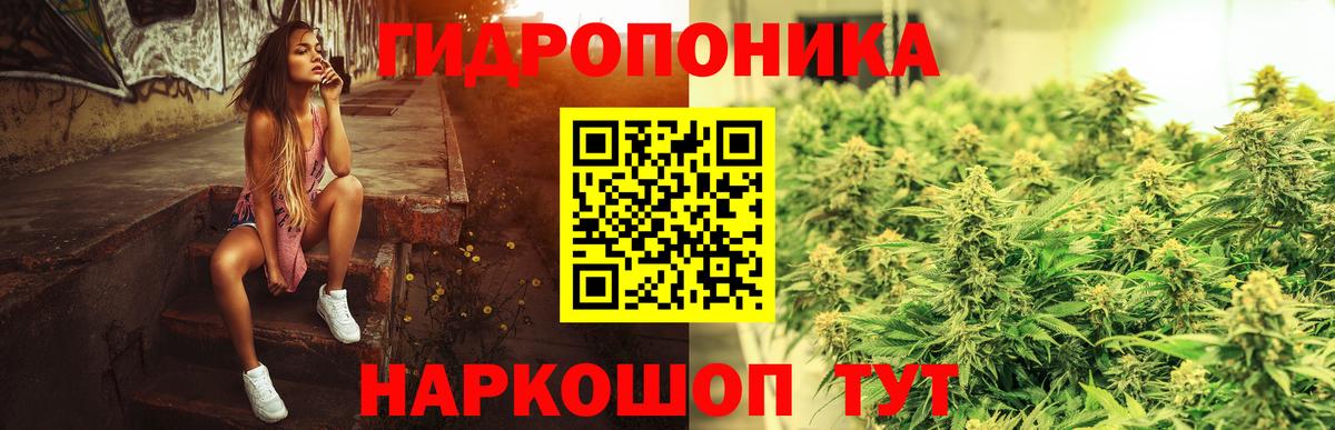 Канабис White Widow  Бошки марихуана сатива  Конопля тримм  Вход с VPN  Моздок  МАРИХУАНА семена 